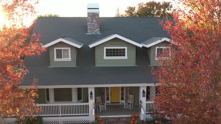 Best Green or Eco-Friendly Roofing Solutions  in Calumet City, IL