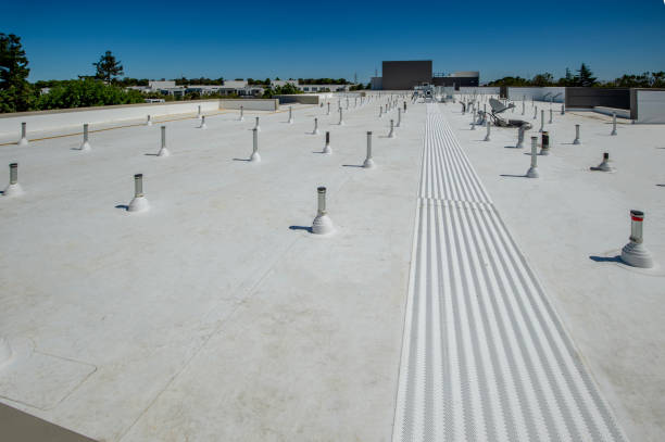 Best Storm Damage Roof Repair  in Calumet City, IL